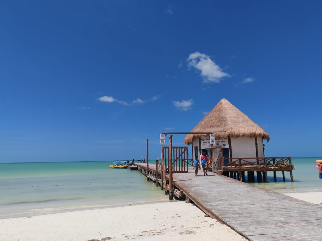 muelle tiburon ballena muelle tiburon ballena